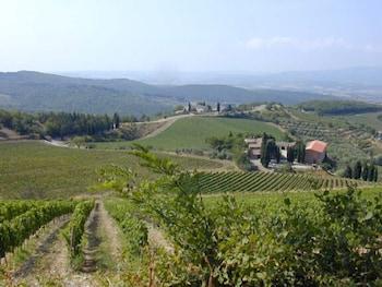 Hotel Il Gallo Greve in Chianti